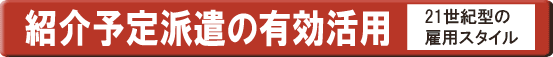 紹介予定派遣の有効活用