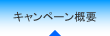 �L�����y�[���T�v