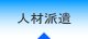 �l�ޔh��