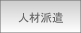 �l�ޔh��